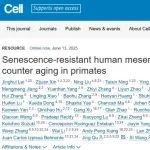 【科技前沿】Cell｜中国科学院动物研究所刘光慧团队开创灵长类通用型“长寿”祖细胞疗法