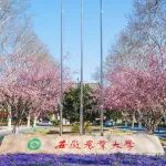安徽农业大学副院长团队2024级硕士生以第一作者身份在一区Top期刊（IF=6.9）上发表研究论文