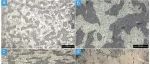 绍兴南山遗址出土东周铅锡器的科学分析研究