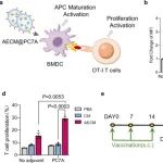 Biomaterials：利用“单分子多靶点”纳米颗粒放大cGAS-STING通路以实现卵巢癌化学免疫治疗
