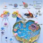 复旦大学罗敏Nature Commun：新抗原富集的仿生纳米疫苗用于实现个性化癌症免疫治疗