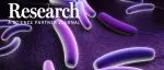Research|抗血管炎症衰老的肠道菌群调控新策略—金凤实验室、阜外医院、江南大学附属医院合作成果