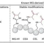 Nat. Chem. Biol. | 基于活性的代谢组学发现半胱氨酸具有类似乙二醛酶1和乙二醛酶2的活性