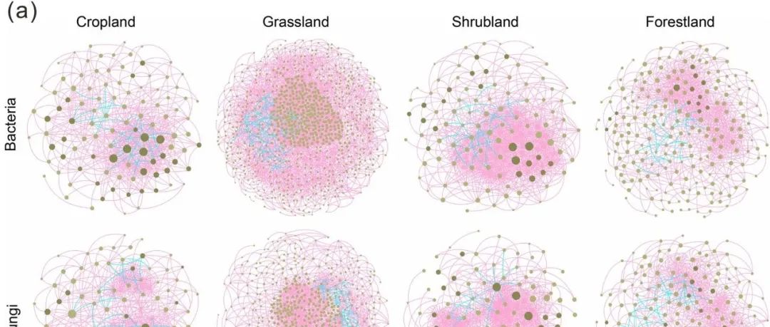 微生物残体固碳丨GLOBAL CHANGE BIOL：揭示土壤微生物群落多样性在大规模积累残体碳方面的潜力