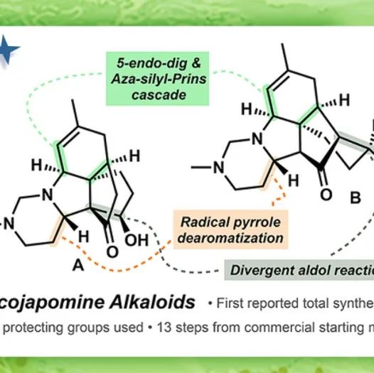 【JACS】加州理工：通过吡咯的自由基去芳构化实现Lycojapomine生物碱的简洁合成
