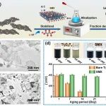 北化樊保民/赵景茂《Corros. Sci.》：MXene赋能新交联机理构建强耐热漆酚防护涂层