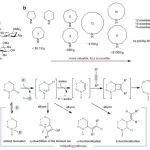 南开王晓晨Nat. Chem.：三级胺化合物模块化烷基生长新方法——硼催化炔烃选择性插入C–C键