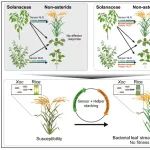 打破物种壁垒！中国农业大学郭海龙等合作最新Cell