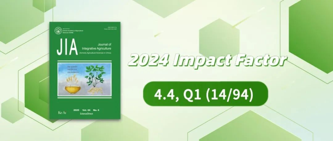 JIA 2024影响因子4.4，学术影响力稳定保持Q1区