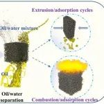 内蒙古农业大学《Cellulose》：超轻高效木碳气凝胶，用于油/水分离