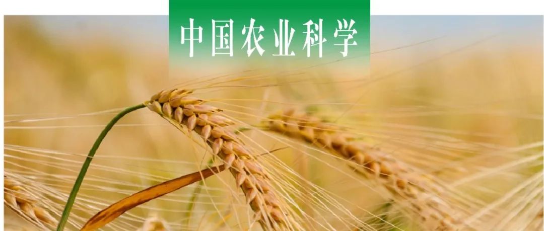 中国农业科学｜四川农大小麦研究所解析小麦抗条锈病反应中叶绿体代谢产物