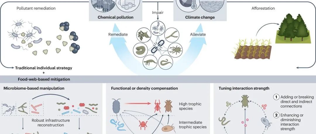 朱永官院士Nature Ecology & Evolution | 土壤食物网对化学污染与气候变化的脆弱性