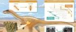 The Innovation Geoscience | “退化”的前肢，隐藏着怎样的捕食秘密？—新发现揭示乌拉特半爪龙的肉食证据