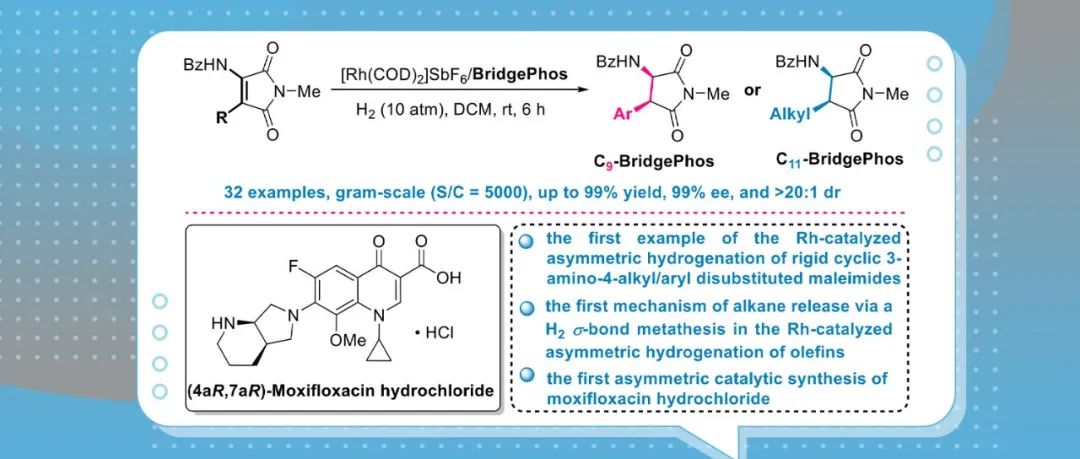 【JACS】上海交大张万斌课题组：铑催化3-氨基-4-烷基/芳基马来酰亚胺的不对称氢化