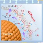 江南大学朱永法团队JACS：通过羰基-羟基基团的协同作用平衡*CHO/*CO中间体通量，实现低浓度二氧化碳高选择性电还原合成乙醇