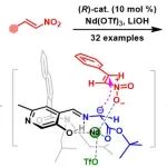 上海师大赵宝国教授和陈雯雯教授团队Angew. Chem.：仿生羰基催化甘氨酸酯与硝基烯烃的直接不对称α-C加成反应研究进展