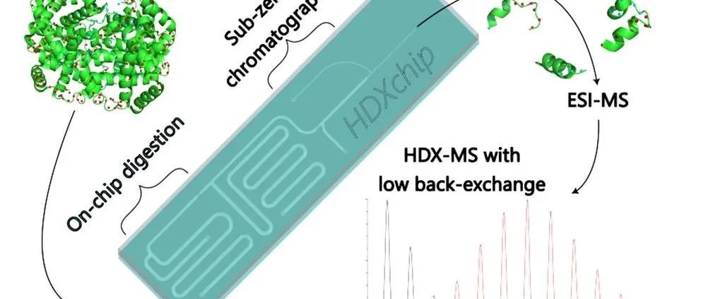 Anal. Chem.|硫醇-烯微流控芯片实现超低温HDX-MS