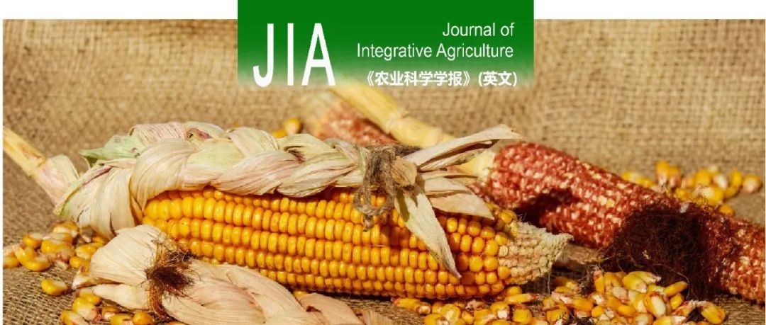 JIA｜甘肃农业大学李玲玲教授团队发现适当比例的有机肥替代化肥可以稳定黄土高原玉米产量，减少气态氮损失