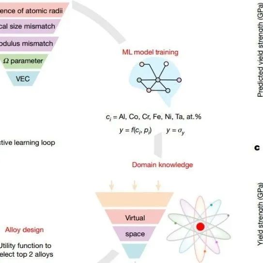 西安交通大学最新Nature
