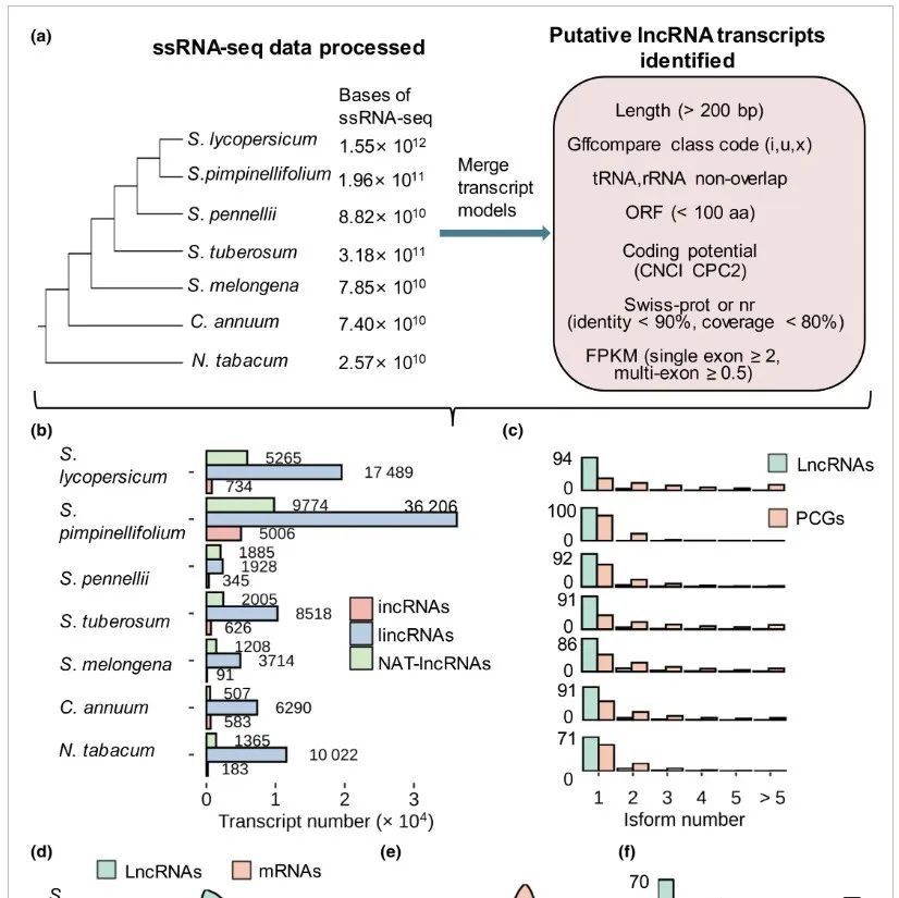New Phytologist| 亚热带森林的风驯化现象：迎风坡树木呈现矮化与小树冠特征