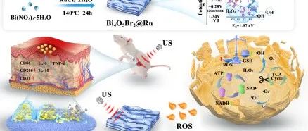 ACS Nano | 缺陷增强型压电与纳米酶协同催化用于深部细菌脓肿治疗