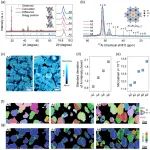 李泓/禹习谦研究员、谷林教授JACS：无掺杂、无缺陷、高性能钴酸锂正极材料