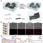西工大尹剑波教授、斯德哥尔摩大学袁家寅教授 Nano Lett.: Mexene填料同时增强聚离子液弹性体的力学性能和电导率