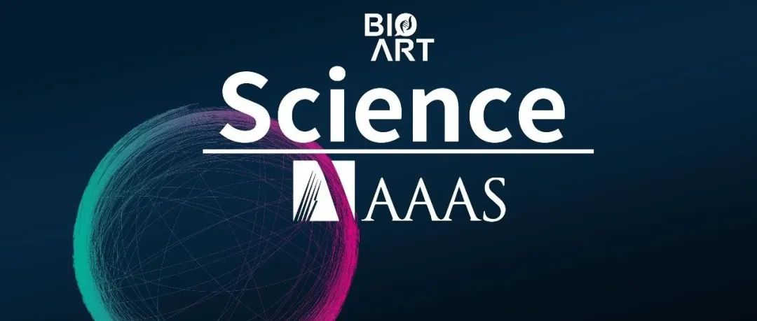 Science︱沉默的艺术：探索线粒体基因表达的奥秘