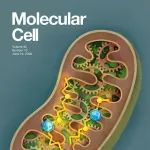 Mol Cell封面文章 | 林爱福等解码肝癌微肽组并开发新型微肽类靶向药物前体