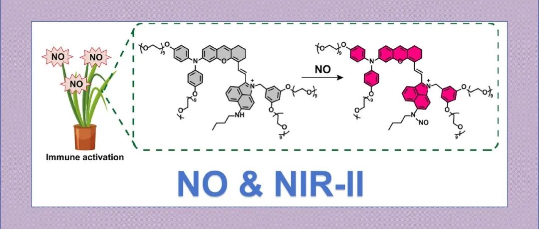 文献分享|稻田微生物抗性免疫激活的可视化探针及近红外二区荧光成像研究