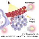 ACS Nano：具有聚集诱导NIR-II发射和光热推进性能的纳米马达用于深度肿瘤穿透和精准光学诊疗