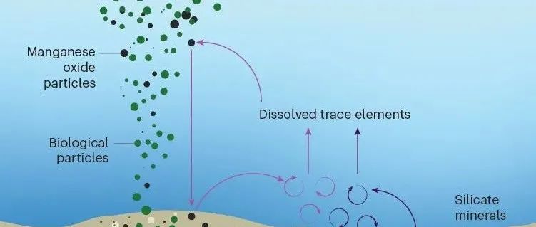 Nature：海底竟是海洋的"微量元素工厂"