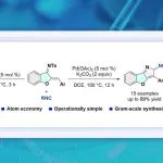 【J. Org. Chem.】河南大学李盼教授课题组：钯催化氮杂二烯与异氰的[4+1]环化反应