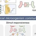Sci Adv丨湖南大学邢航研究展示了功能性DNA作为可编程表面受体，用于调控微生物群体的模式和行为