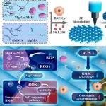 ACS Nano丨上海交通大学王金武等团队研究发现负载多功能Mg-Ce-MOF的3D生物打印支架改善衰老微环境促进老年骨缺损修复