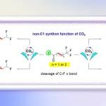 曲阜师大赵育磊教授课题组OL:&#160;电驱动CO&#8322;非C1合成子功能开发——促进电化学脱氟转化