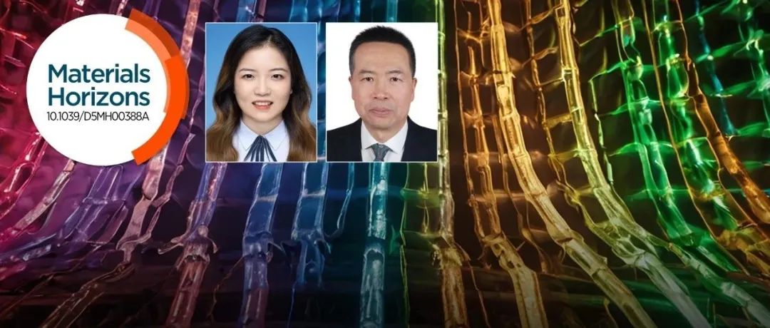 西工大樊慧庆团队: 钛酸铋钠基弛豫铁电材料设计的全新理论视角
