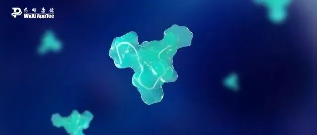 减重“不反弹”！这款分子有望让明星减肥药效果翻倍