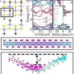 (纯计算)华东师范大学胡志高/龚士静团队Phys. Rev. Lett.: 弯曲CrSBr单层中的自供电纯自旋光电流