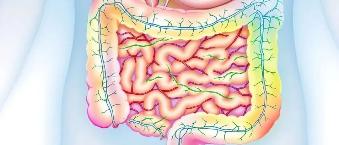 《食品科学》：石河子大学倪永清教授、孙海龙副教授等：我国塔吉克族儿童肠道拮抗糖尿病长双歧杆菌长亚种优势菌株筛选及其体外益生特性