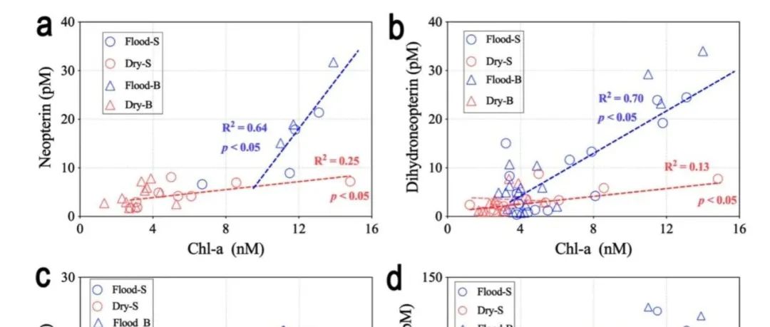 【视点】江苏海洋大学：微生物蝶呤小分子在河口藻华监测与沉积物碳循环中的生物指示作用