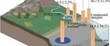 EST | 华东师范大学河口海岸全国重点实验室在河口海岸湿地碳汇机制取得重要进展