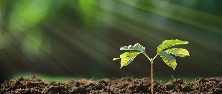 爆发！我国在植物科学领域再获全新技术突破！农大科研团队在Nature/Cell/Nature Genetics连发重要研究成果！