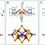 【PNAS】南师大陈旭东教授课题组：固氮酶铁钼辅酶团簇的化学合成领域重要研究进展