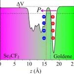 (纯计算)越南黎贵敦技术大学Nano Lett.: 二维金烯和MXene Sc2CF2多功能异质结的合理设计