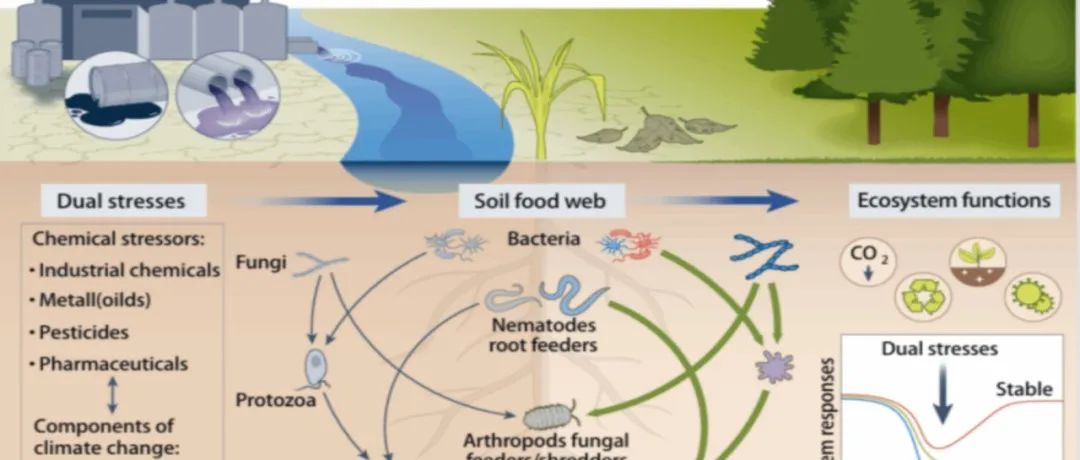 Ecology Letters| 华中农业大学资源与环境学院土壤微生物生态与环境健康课题组揭示土壤生态多重胁迫下的脆弱性