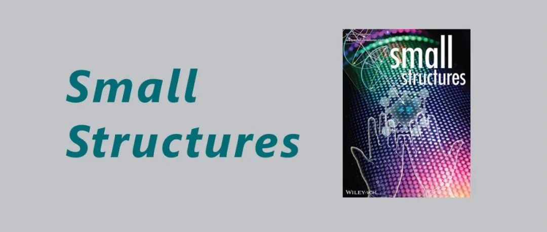苏大 程丝、秦传香，阿尔托大学张航Small Structures：静电植绒——重生拥抱多功能应用