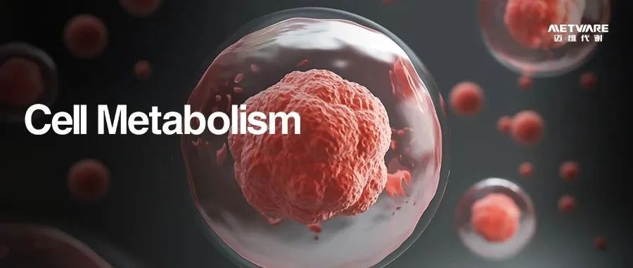 Cell Metab | 武汉大学闫卫团队发现癌症放疗后肿瘤分泌亚精胺合酶，从而诱导骨骼肌无力
