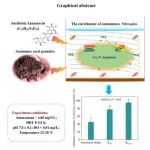 烟台大学孙洪伟团队FESE、JECE系列工作：全程氨氧化菌（comammox）富集培养系列工作