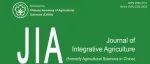 JIA 2025-7期 发布